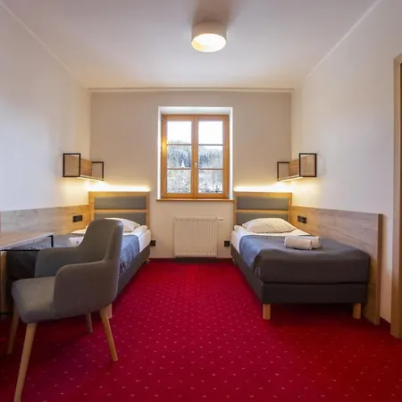 Puchaczówka Sienna (Klodzko)