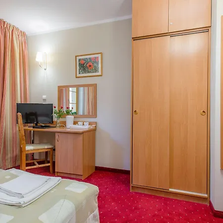 Puchaczówka Sienna (Klodzko)