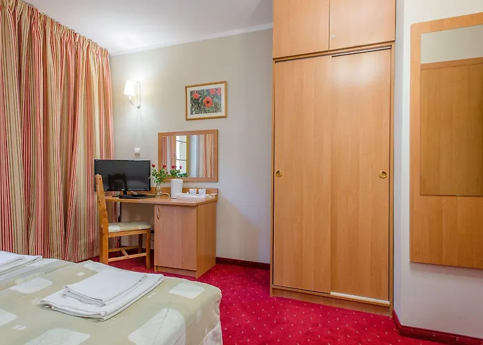 Puchaczowka Sienna (Klodzko)