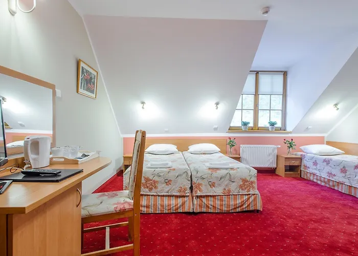 Puchaczowka Pensionat Sienna (Klodzko)